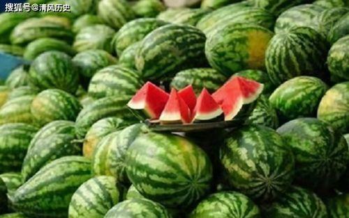 吃瓜视频直链  第2张